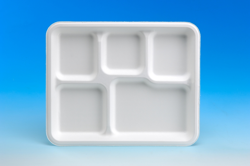 5-Comp Big Meal Tray