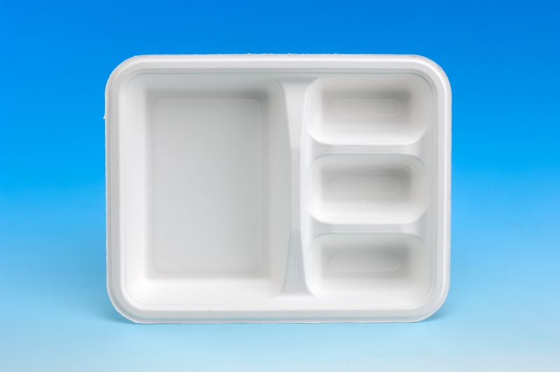 Dolor 4-Squared Meal Box