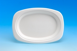 Disposable Oval paper Plate 9 ;
